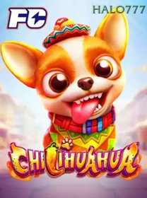 Chilihuahua